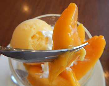 �K�X�g�@�}���S�[�p�t�F