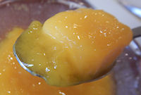 �K�X�g �}���S�[�[���[