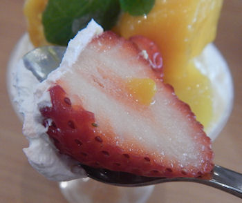 ������i�@�}���S�[�p�t�F