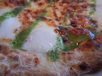 �K�X�g �}���Q���[�^�s�U