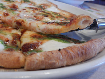 �K�X�g �}���Q���[�^�s�U