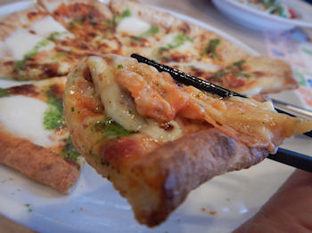 �K�X�g �}���Q���[�^�s�U