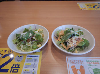 ガスト いろいろ野菜のミックスサラダ