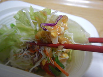 ガスト　いろいろ野菜のミックスサラダ