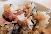 �K�X�g �˂��Ƃ똥