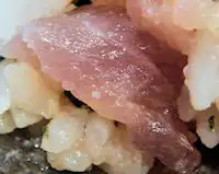 �K�X�g �˂��Ƃ똥