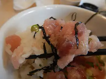 �K�X�g �˂��Ƃ똥