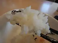 �K�X�g �˂��Ƃ똥