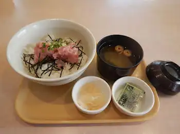 �K�X�g �˂��Ƃ똥