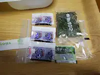 �K�X�g �˂��Ƃ똥