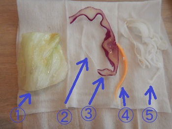 �K�X�g �~�j�T���_