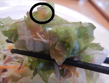 �K�X�g �ʂ˂��ݖ��h���b�V���O