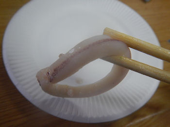 �K�X�g�I�[�h�u���v���[�g