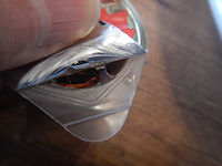 �K�X�g �`���R�o�i�i�ƃ}�X�J���|�[�l�̃p���P�[�L