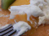 �K�X�g �t���[�c�p���P�[�L