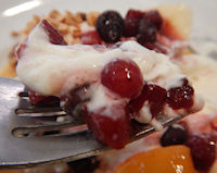 �K�X�g �t���[�c�p���P�[�L