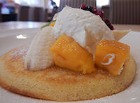 �K�X�g �t���[�c�p���P�[�L