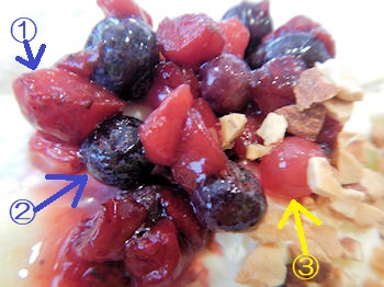 �K�X�g �t���[�c�p���P�[�L