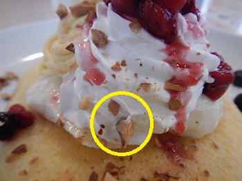 �K�X�g �}���S�[�p���P�[�L