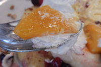 �K�X�g �}���S�[�p���P�[�L