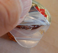 �K�X�g �����������ƃ}�X�J���|�[�l�̃p���P�[�L