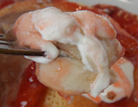 �K�X�g �������ƃ_�u���N���[���̃p���P�[�L