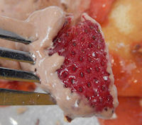 �K�X�g �������ƃ_�u���N���[���̃p���P�[�L