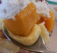 �K�X�g �}���S�[�ƃx���[�̃p�t�F