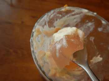 �K�X�g �����p�t�F