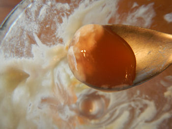 �K�X�g �����p�t�F