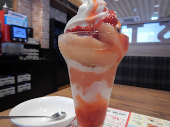 �K�X�g �k�C���\�t�g���ґ򔒓��p�t�F