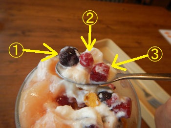 �K�X�g �����p�t�F