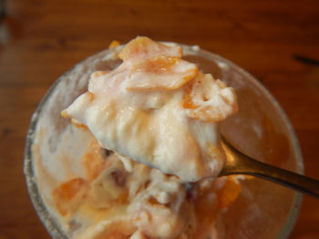 �K�X�g �����p�t�F