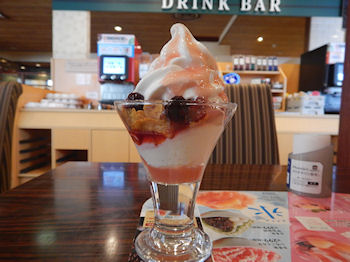 �K�X�g �k�C���\�t�g�̔����T���f�[