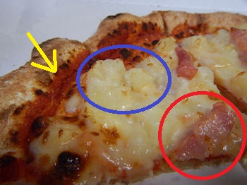 �K�X�g �x�[�R���|�e�g�O���^���s�U