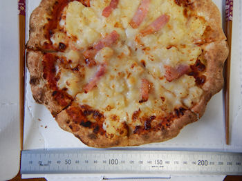 �K�X�g �x�[�R���|�e�g�O���^���s�U