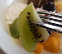 �K�X�g �v�����A�����[�h