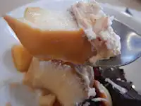 �K�X�g �v�����A�����[�h