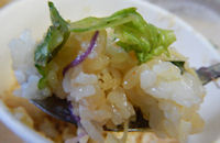 �K�X�g ���R���R��