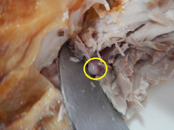 �K�X�g ��z �����A�� ���[�X�g�`�L��