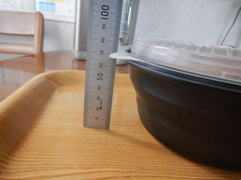 �K�X�g ��z �����A�� ���[�X�g�`�L��