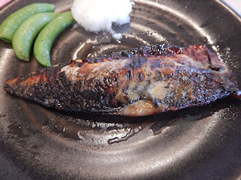 �K�X�g ���΂̐����Ă�