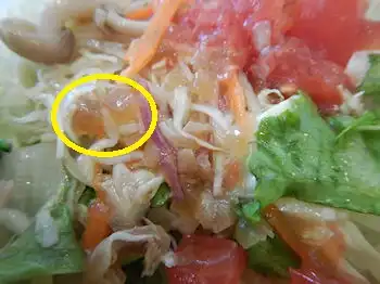 ガスト 蒸し鶏とキノコのサラダ