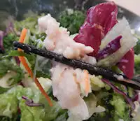 ガスト 蒸し鶏とケールのサラダ