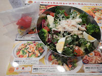 ガスト 蒸し鶏とケールのサラダ