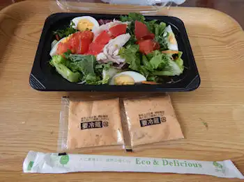 ガスト 蒸し鶏とケールのサラダ