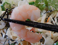 �K�X�g �T���_���ǂ�