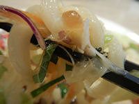 �K�X�g �T���_���ǂ�