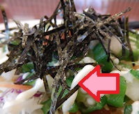 �K�X�g �T���_���ǂ�