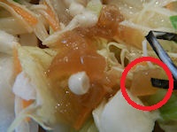 �K�X�g �T���_���ǂ�